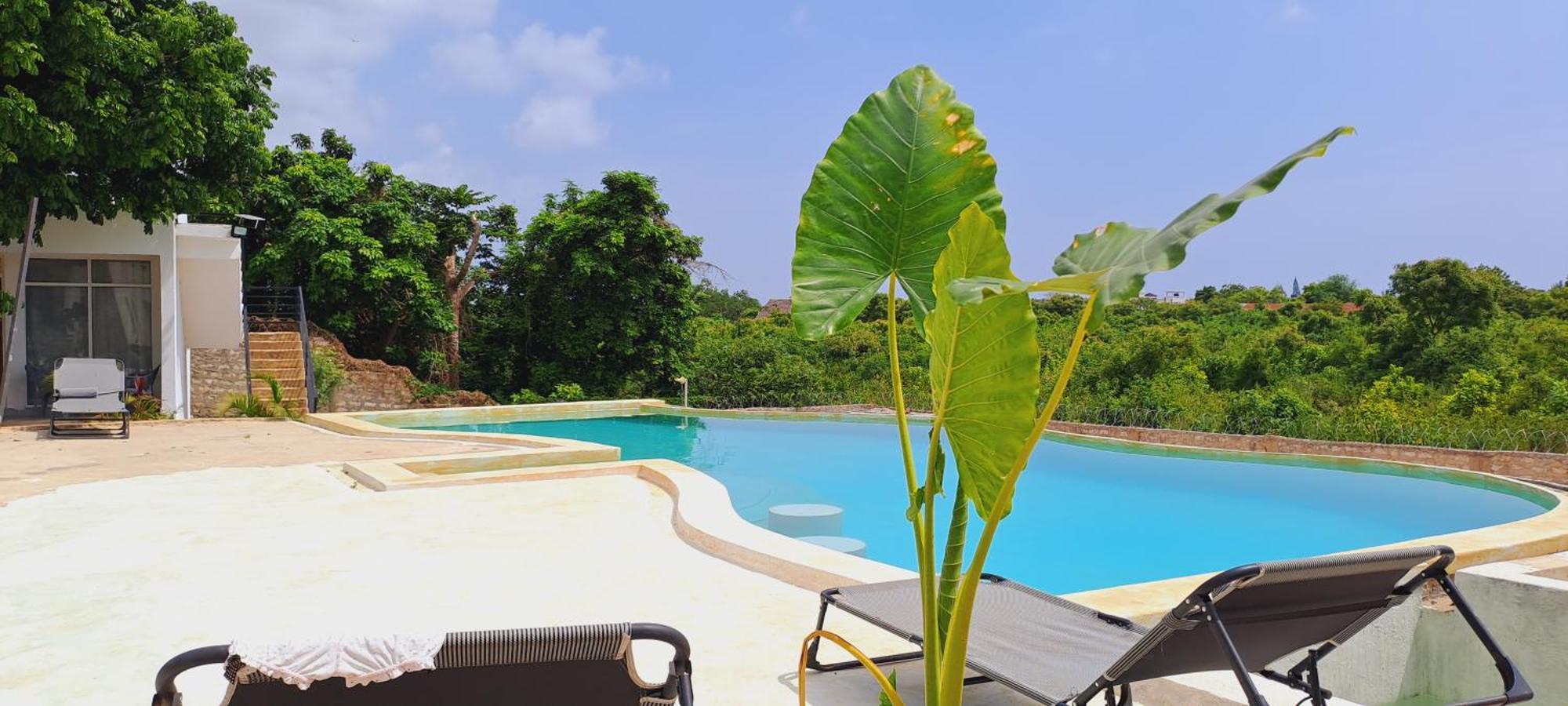 Cave Diani Holiday Apartments ディアニ・ビーチ エクステリア 写真